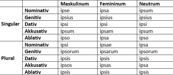 Femininum was bedeutet German Adjectives